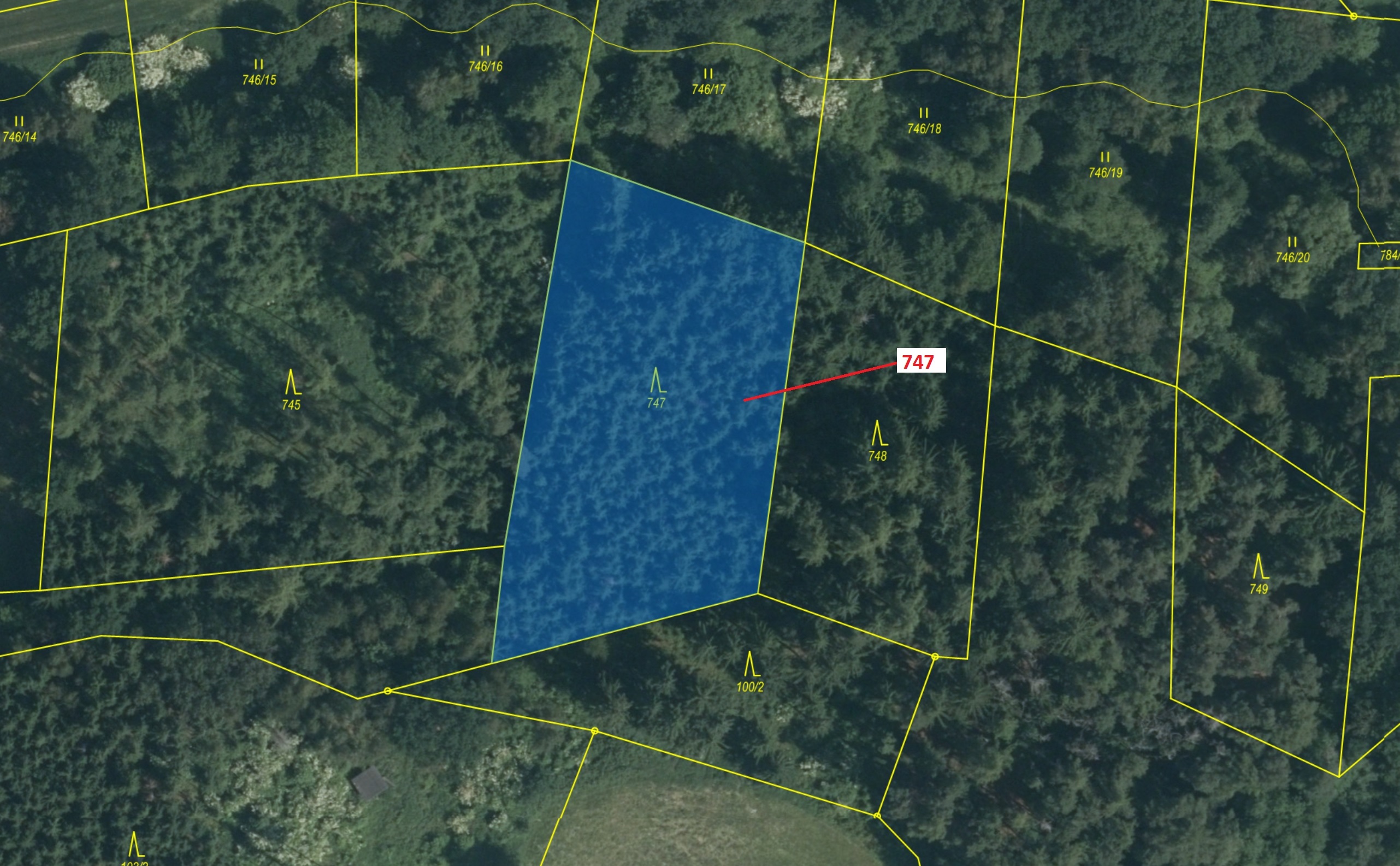 Lesní pozemek o výměře 3010 m2, podíl 1/1, katastrální území Bořkovice, obec Zvěstov, obec s rozšíře
