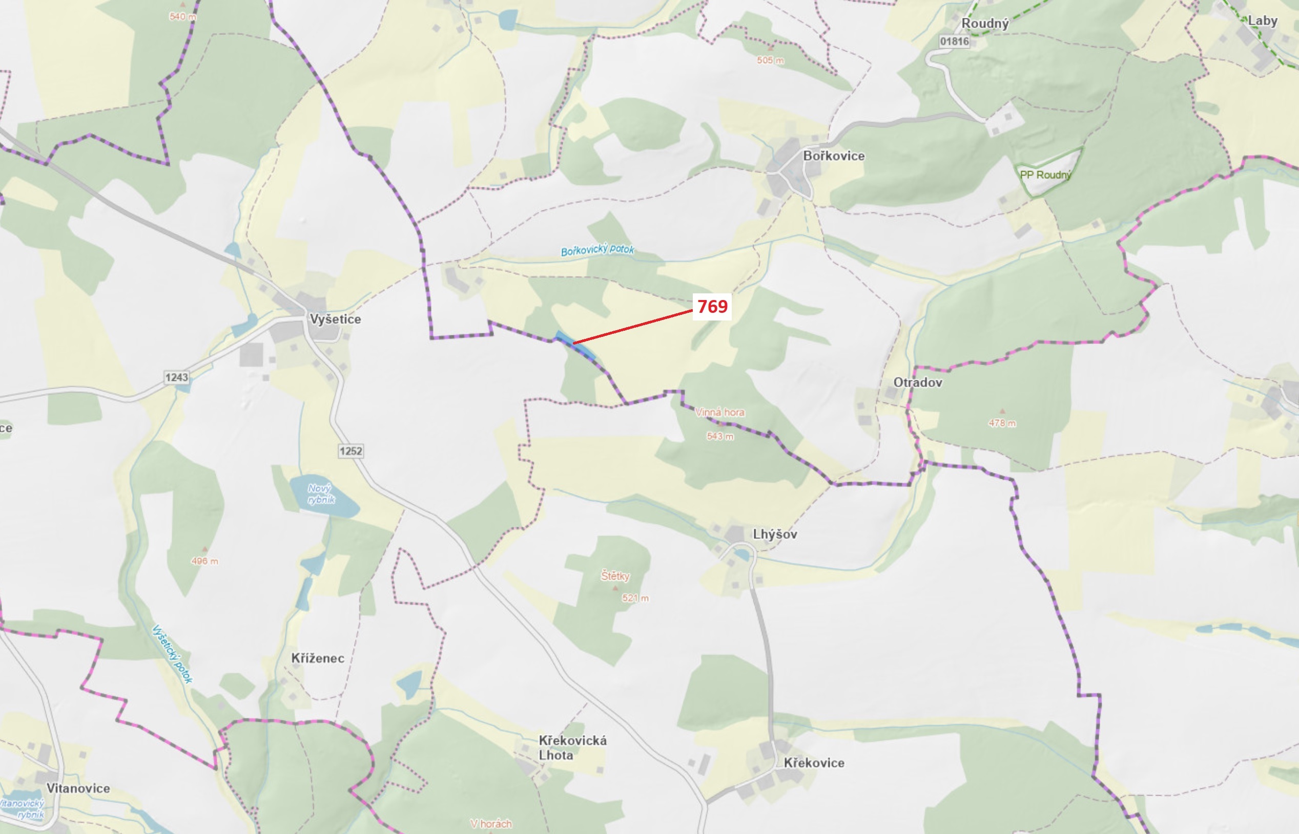Lesní pozemek o výměře 4745 m2, podíl 1/1, katastrální území Bořkovice, obec Zvěstov, obec s rozšíře