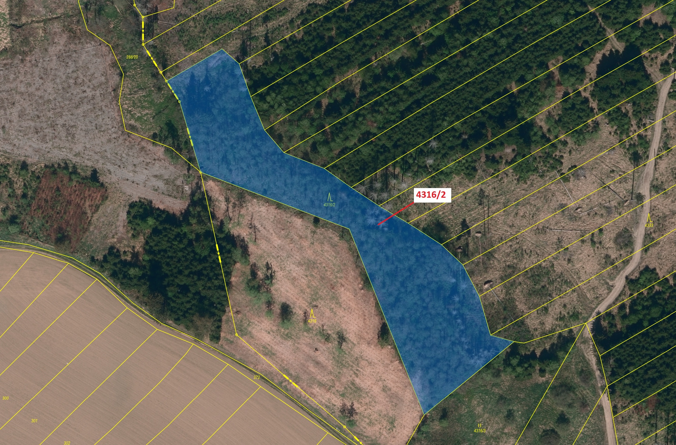 Lesní pozemek o výměře 7085 m2, podíl 1/1, katastrální území Opatov na Moravě, obec Opatov, obec s r