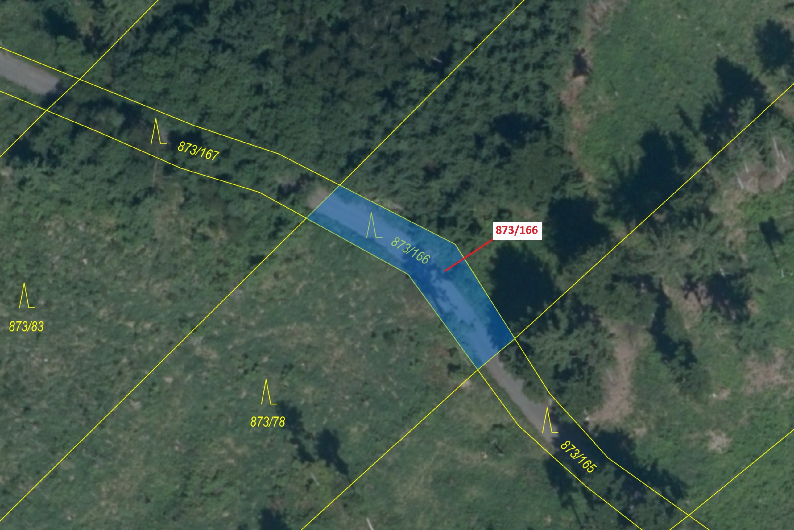Lesní pozemek o výměře 287 m2, podíl 1/1, katastrální území Kladruby u Vlašimi, obec Kladruby, obec 
