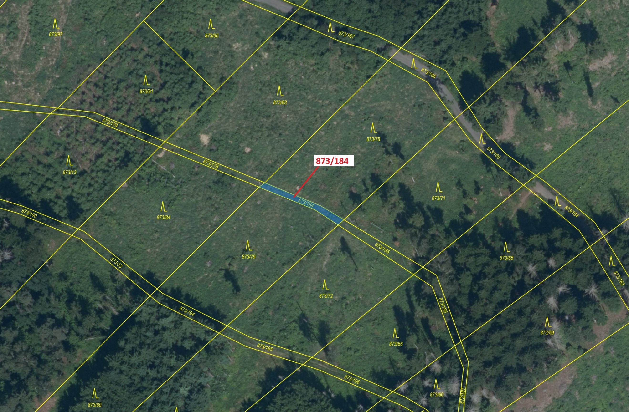 Lesní pozemek o výměře 90 m2, podíl 1/1, katastrální území Kladruby u Vlašimi, obec Kladruby, obec s