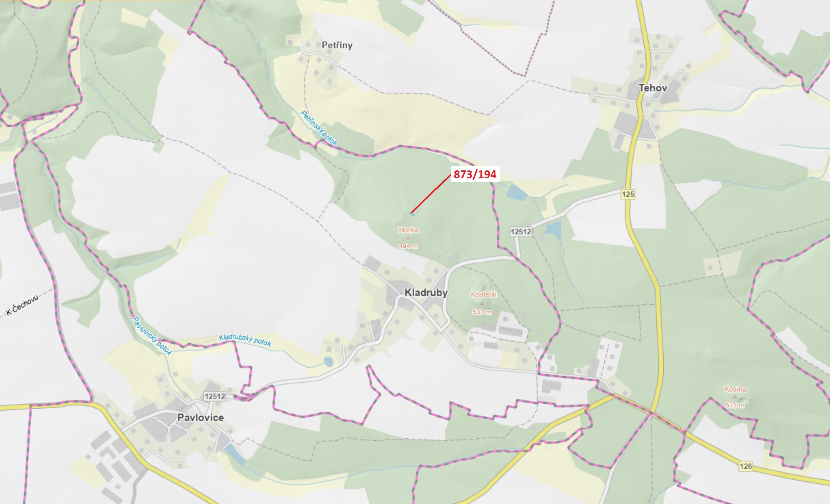 Lesní pozemek o výměře 132 m2, podíl 1/1, katastrální území Kladruby u Vlašimi, obec Kladruby, obec 