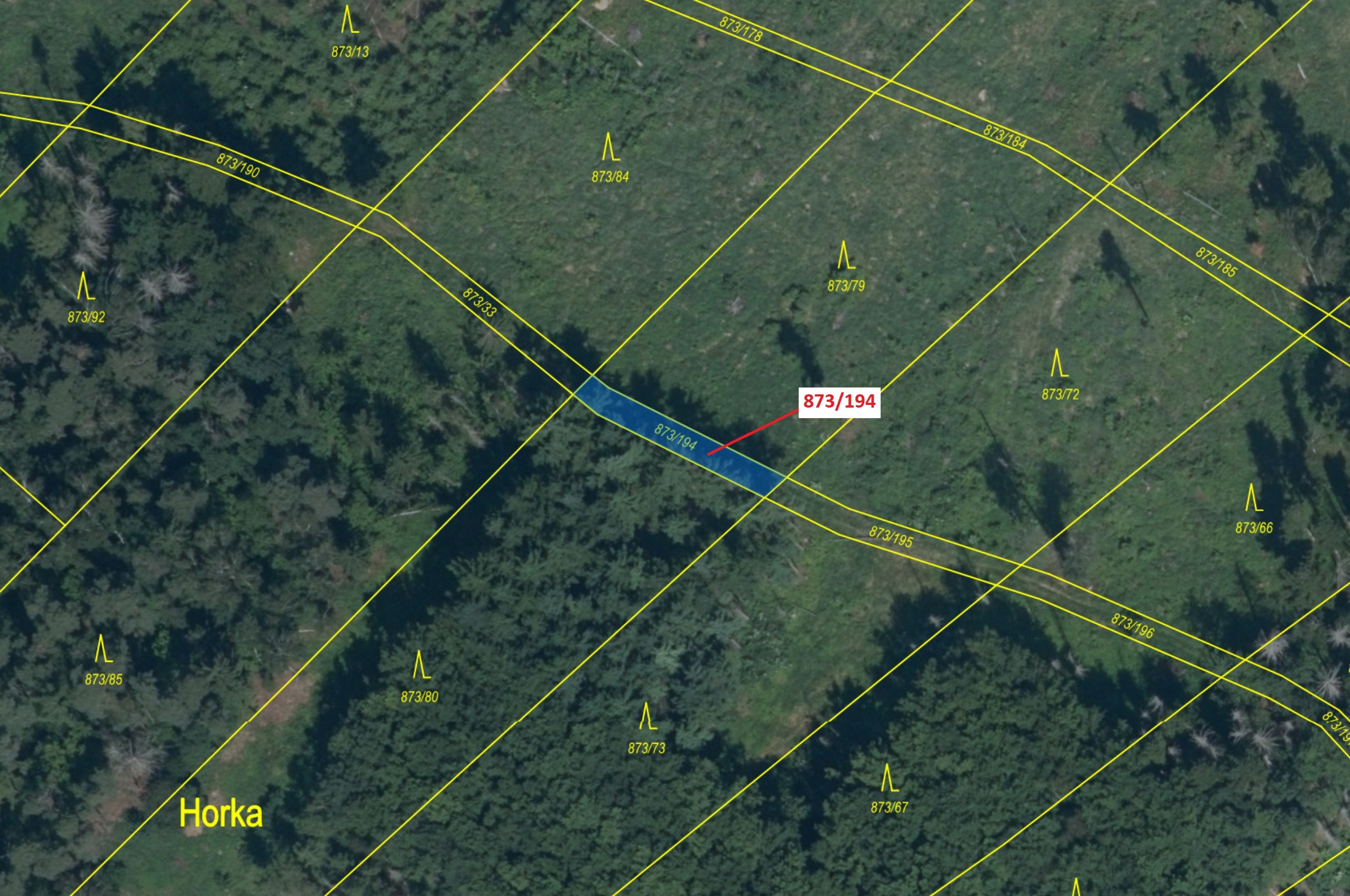 Lesní pozemek o výměře 132 m2, podíl 1/1, katastrální území Kladruby u Vlašimi, obec Kladruby, obec 
