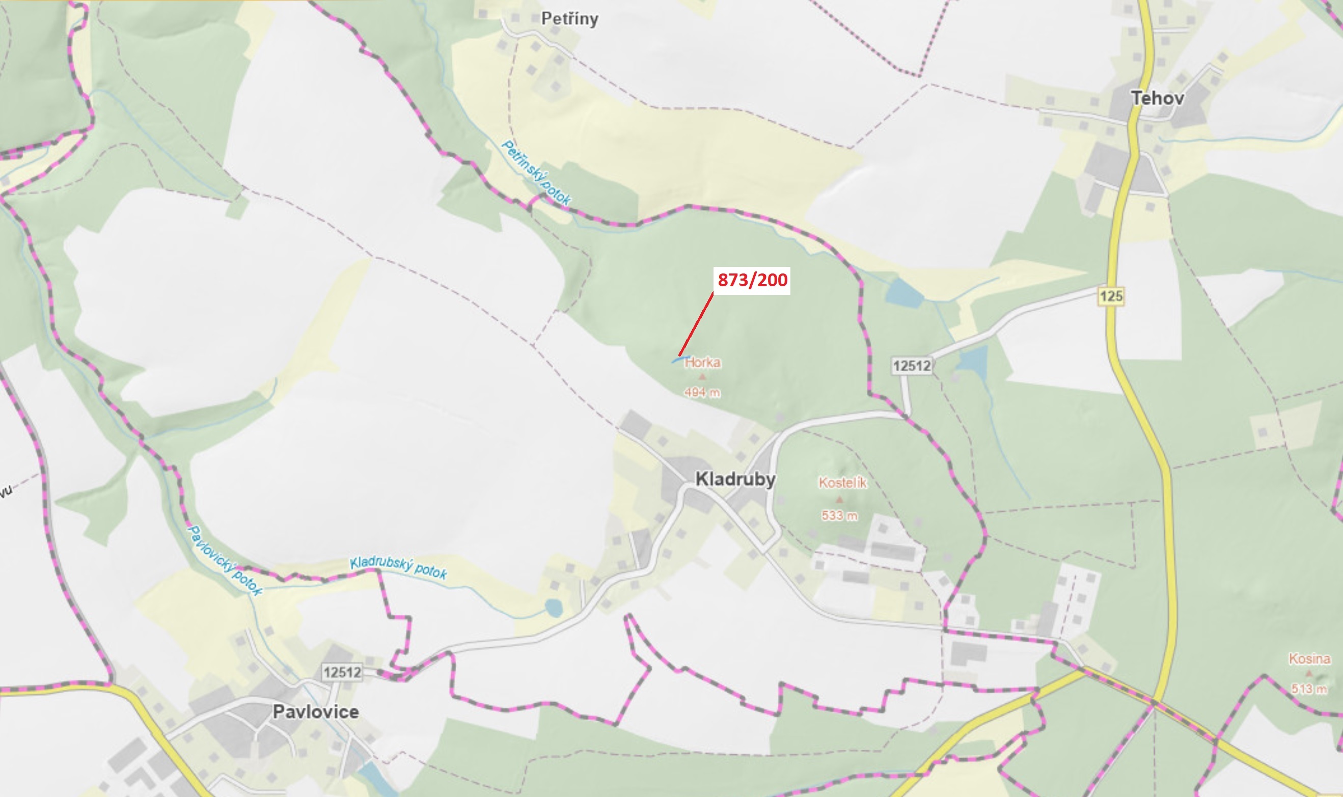 Lesní pozemek o výměře 189 m2, podíl 1/1, katastrální území Kladruby u Vlašimi, obec Kladruby, obec 