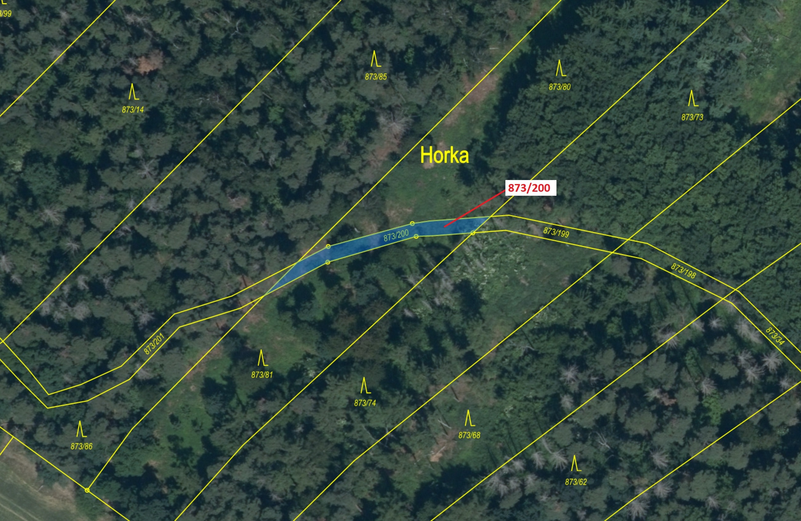 Lesní pozemek o výměře 189 m2, podíl 1/1, katastrální území Kladruby u Vlašimi, obec Kladruby, obec 