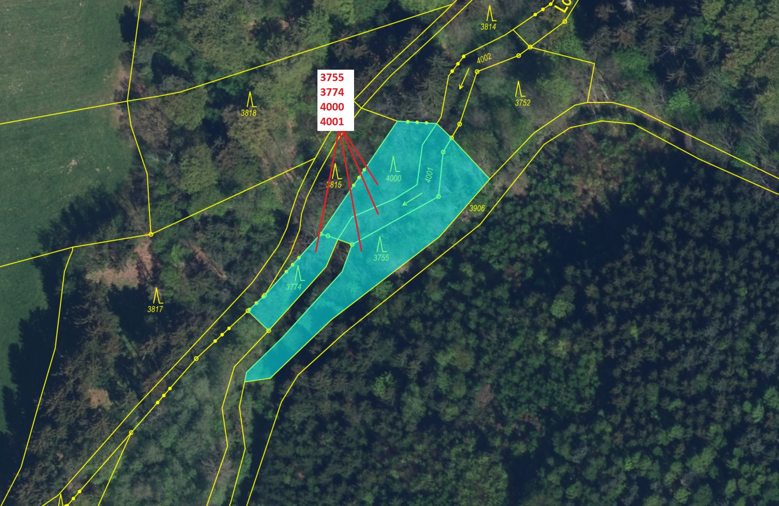 Lesní pozemky a vodní plocha o výměře 1509 m2, podíl 1/1, katastrální území Osečnice, obec Osečnice,