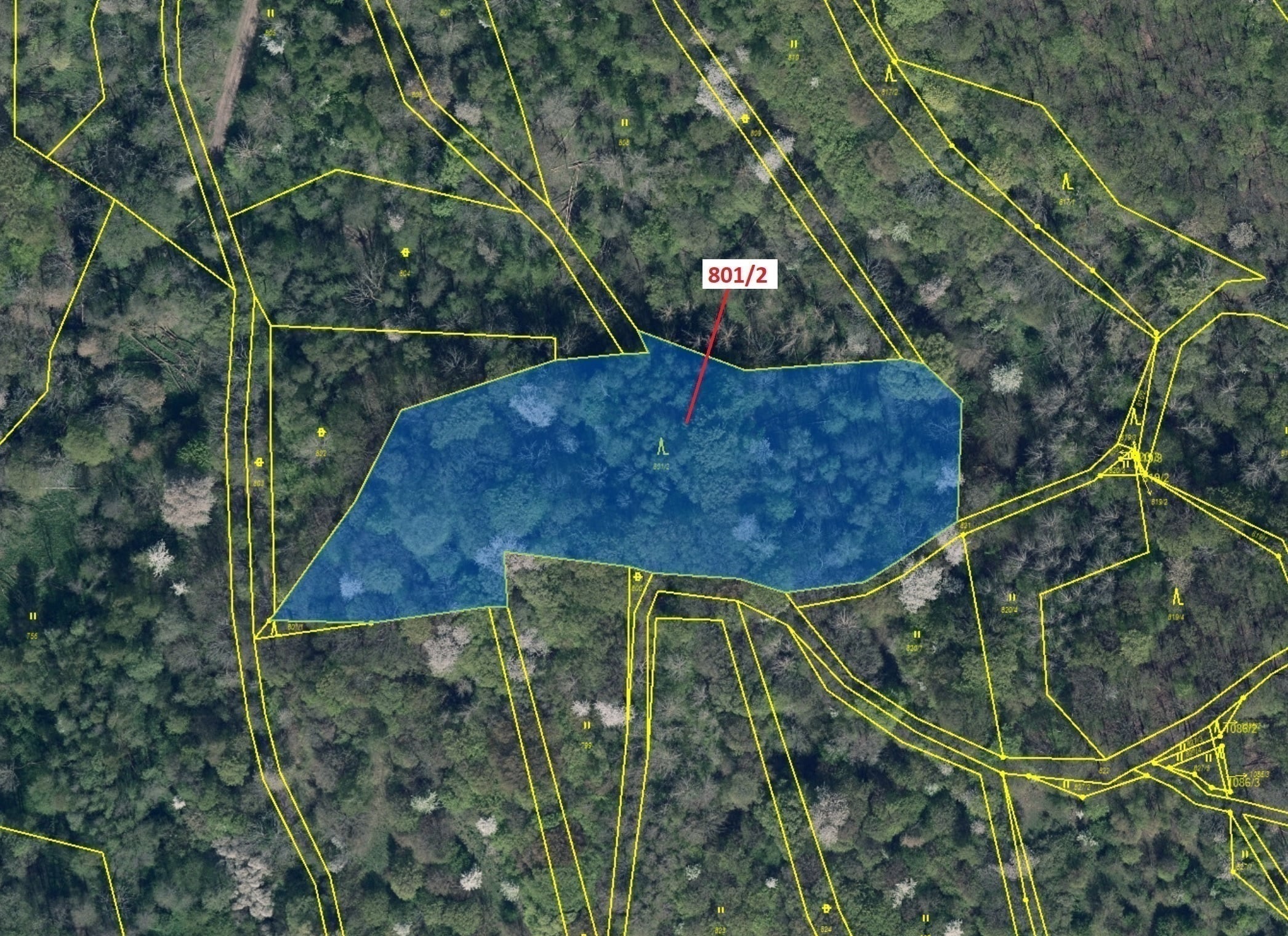 Lesní pozemek o výměře 8 765 m2, podíl  9/10, katastrální území Zubrnice, obec Zubrnice, obec s rozš