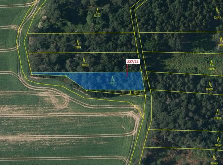 Prodej pozemku, les, 883 m²
