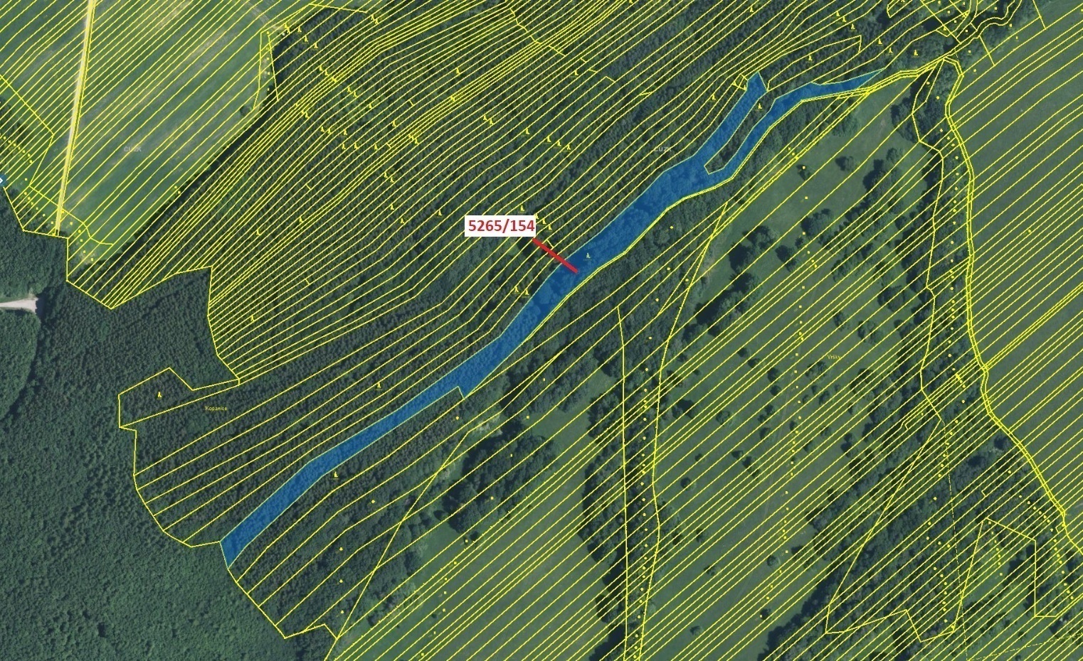 Lesní pozemek o výměře 16 804 m2, podíl 1/1, katastrální území Strání, obec Strání, obec s rozšířeno
