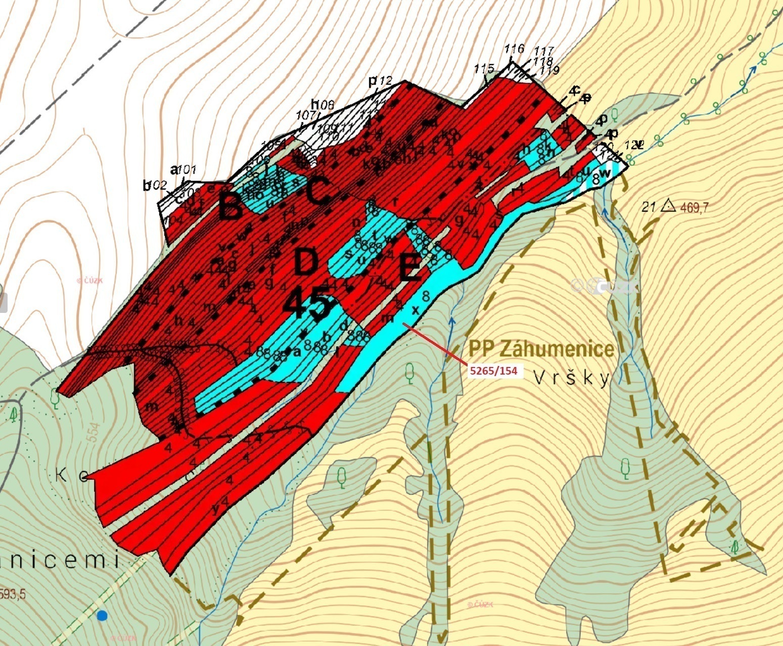 Lesní pozemek o výměře 16 804 m2, podíl 1/1, katastrální území Strání, obec Strání, obec s rozšířeno