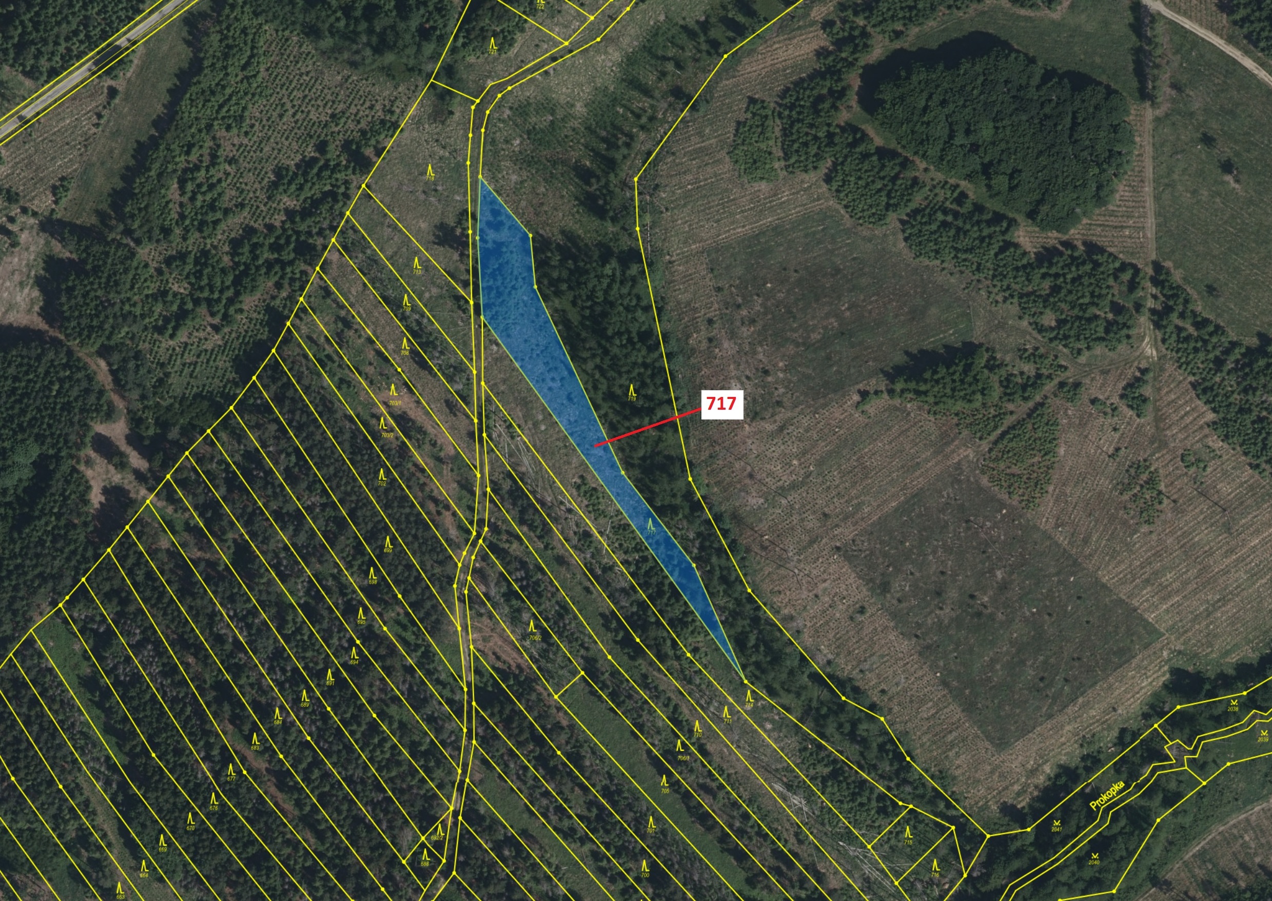 Lesní pozemek o výměře 2761 m2, podíl 1/1, katastrální území Knínice, obec Knínice, obec s rozšířeno
