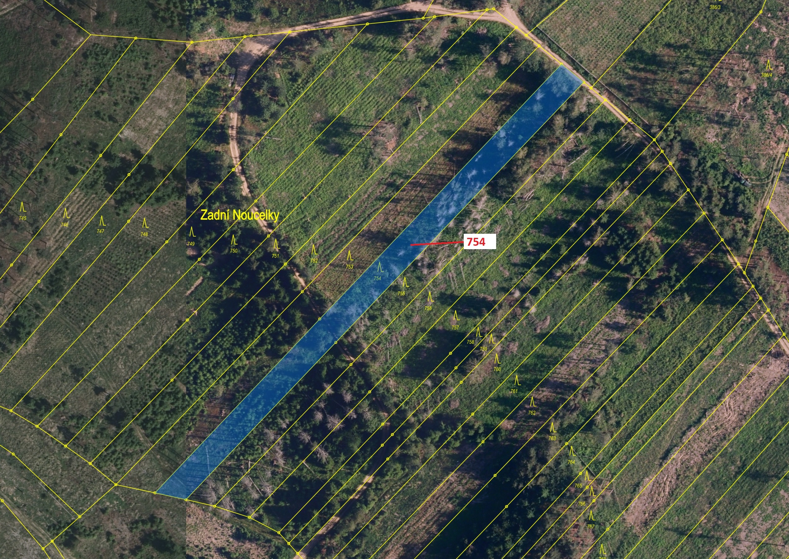 Lesní pozemek o výměře 2930 m2, podíl 1/1, katastrální území Knínice, obec Knínice, obec s rozšířeno