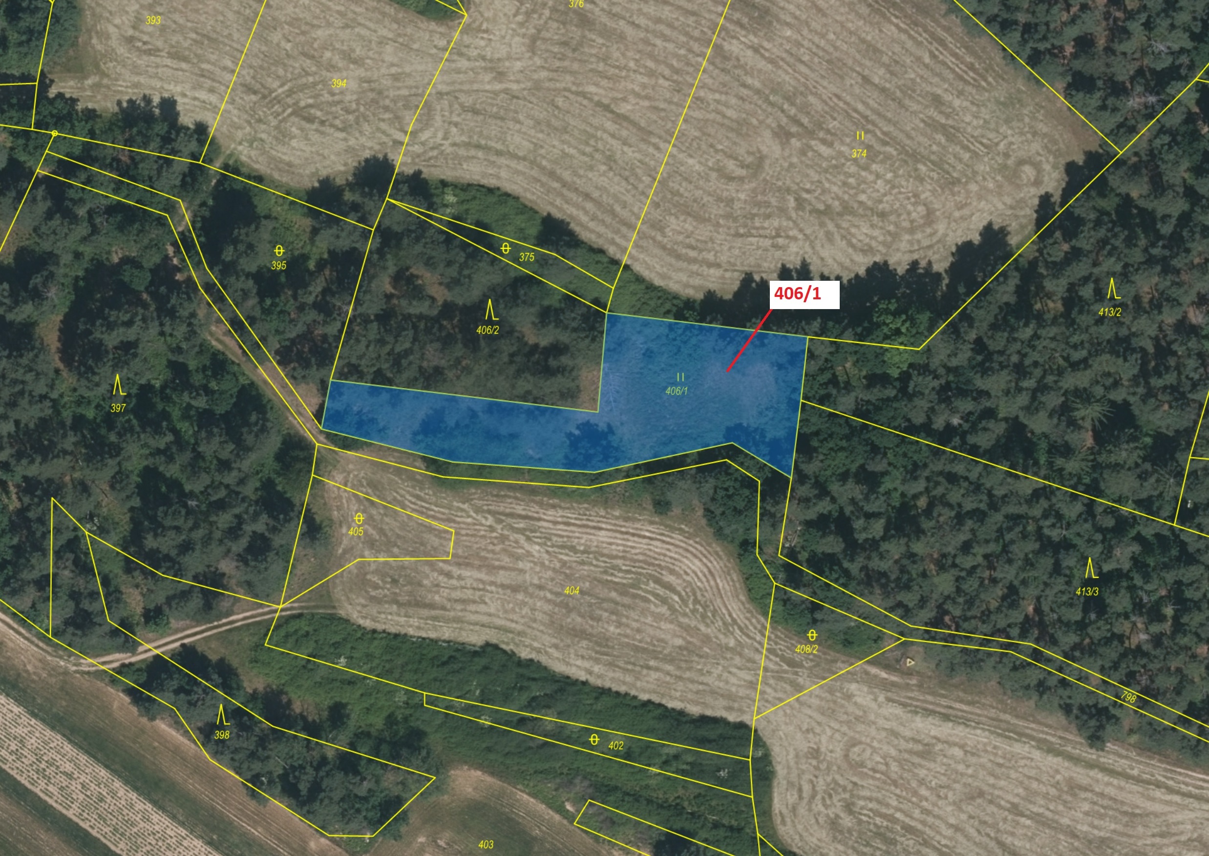 Trvalý travní porost o výměře 1762 m2, podíl 1/1, katastrální území Slivonice, obec Velký Bor, obec 