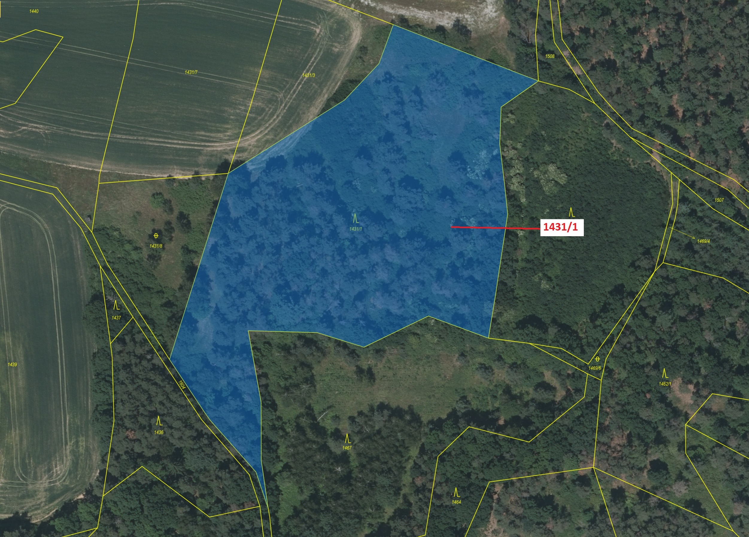 Lesní pozemek o výměře 15 718 m2, podíl 1/1, katastrální území Putim, obec Putim, obec s rozšířenou 