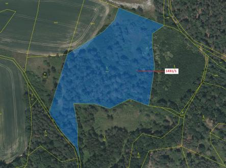 Prodej pozemku, les, 15 718 m²