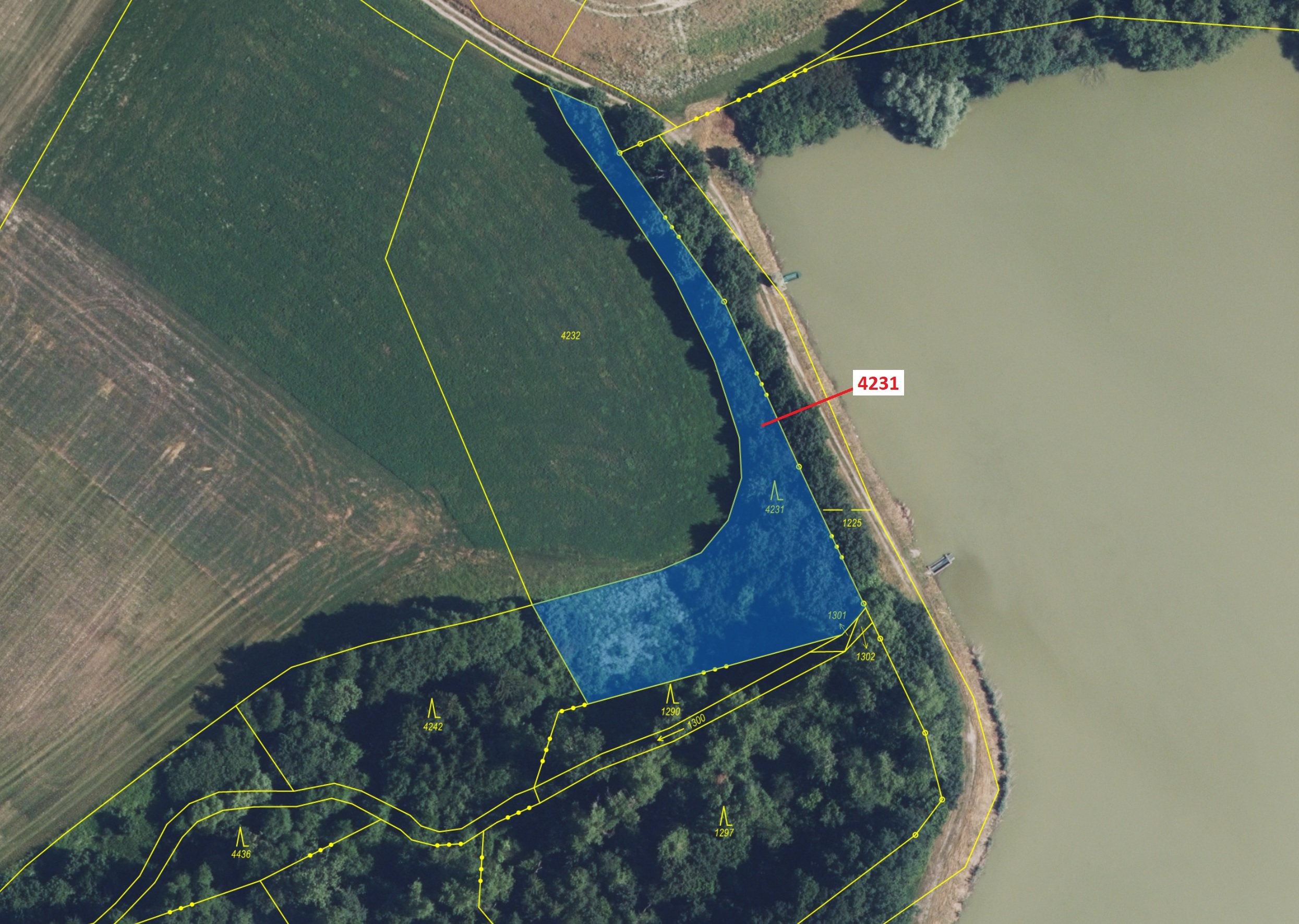 Lesní pozemek o výměře 2407 m2, podíl 1/1, katastrální území Dobříkov, obec Dobříkov, obec s rozšíře