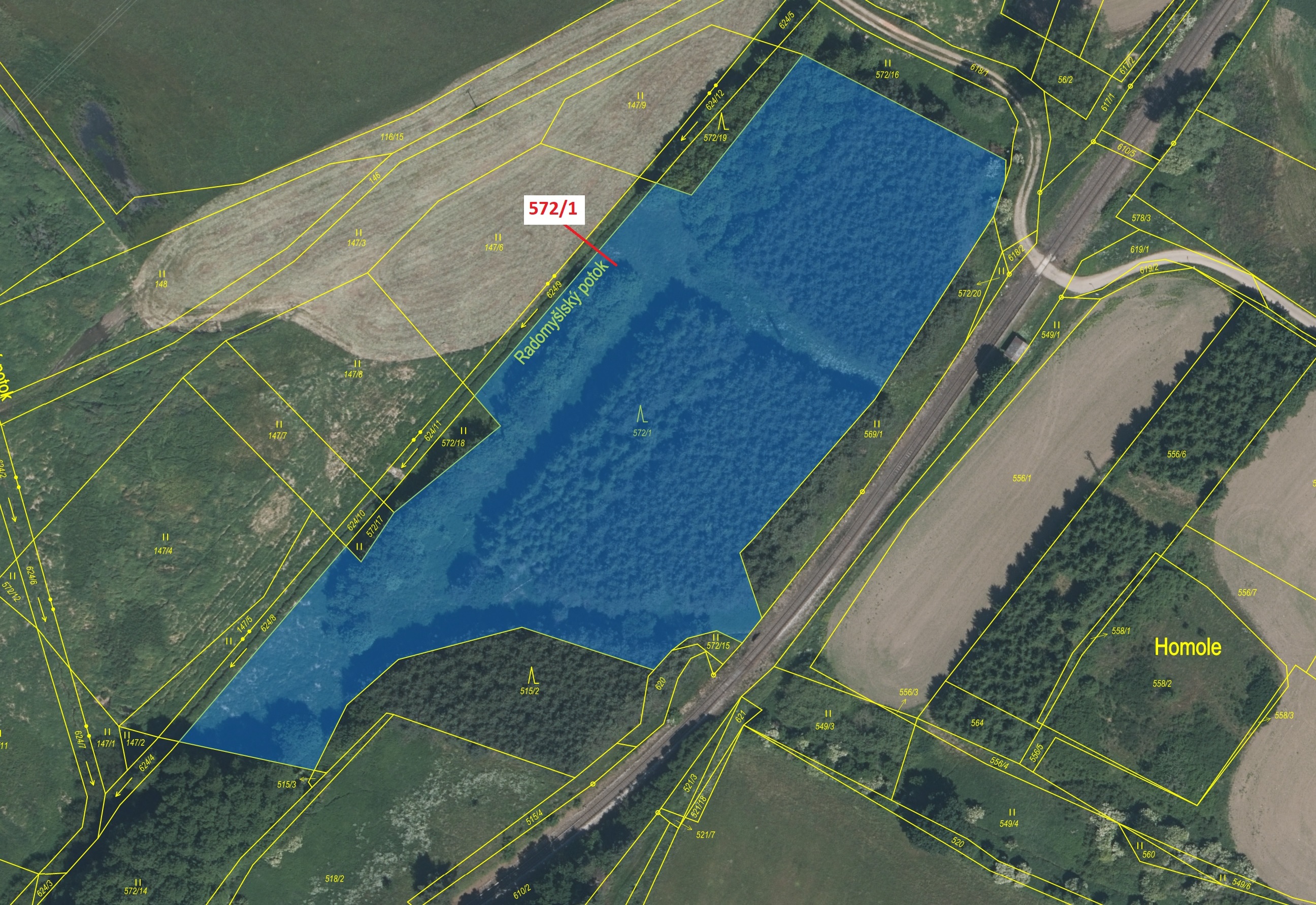 Lesní pozemek o výměře 13 245 m2, podíl 1/1, katastrální území Domanice, obec Radomyšl, obec s rozší