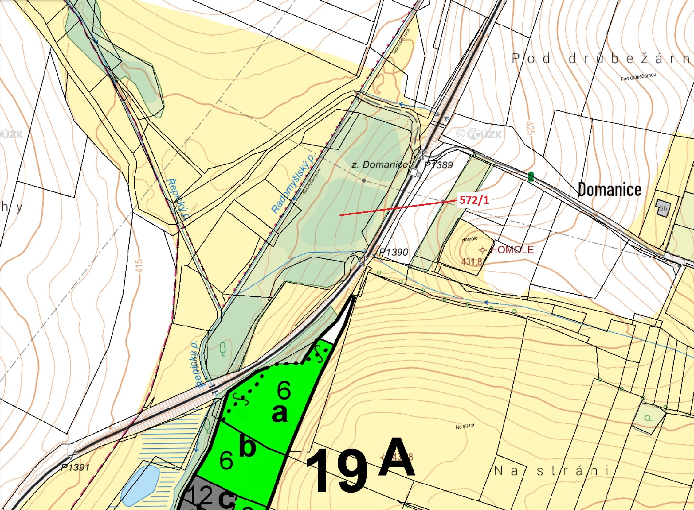 Lesní pozemek o výměře 13 245 m2, podíl 1/1, katastrální území Domanice, obec Radomyšl, obec s rozší