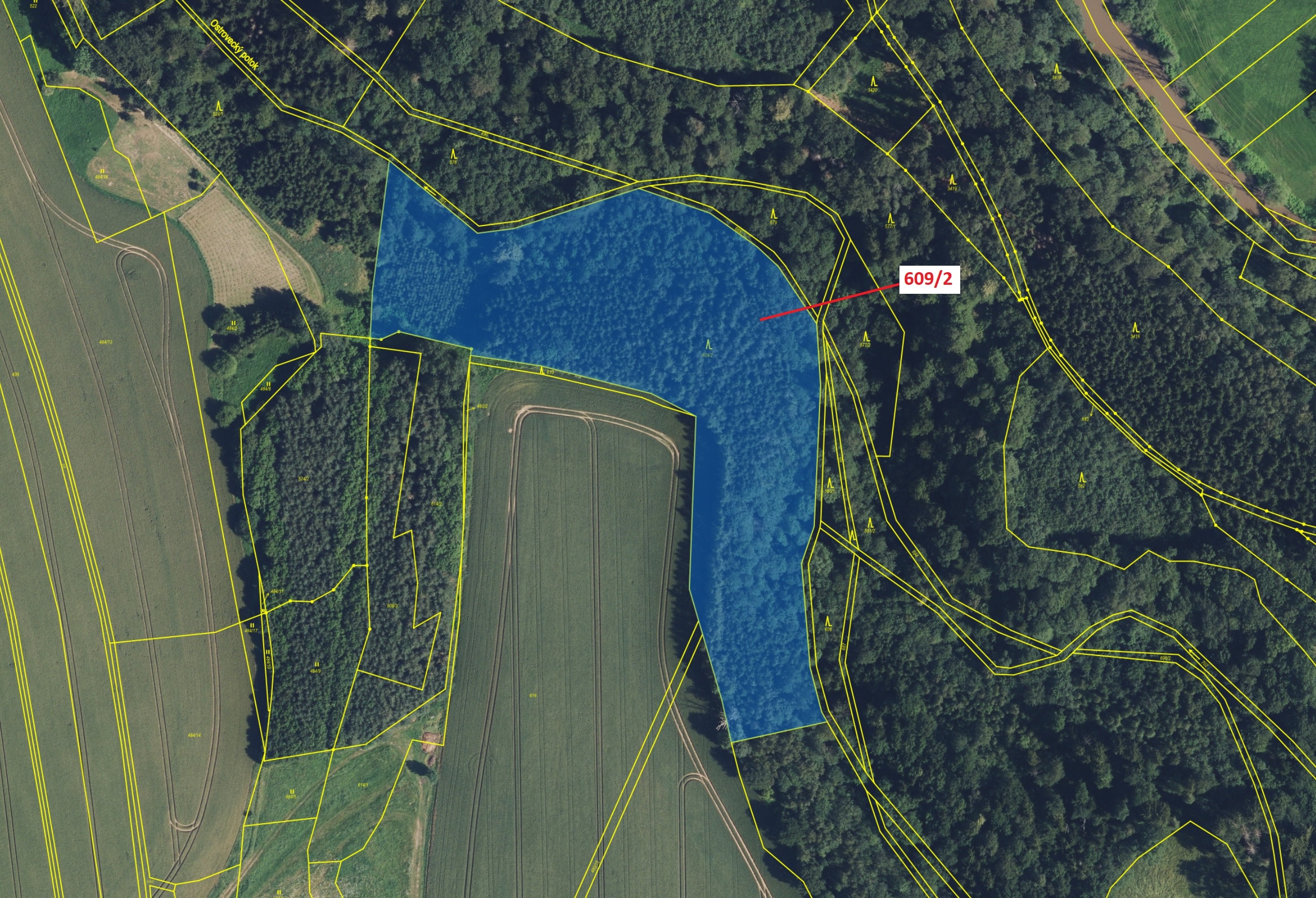 Lesní pozemek o výměře 20 728 m2, podíl 1/1, katastrální území Zářecká Lhota, obec Zářecká Lhota, ob