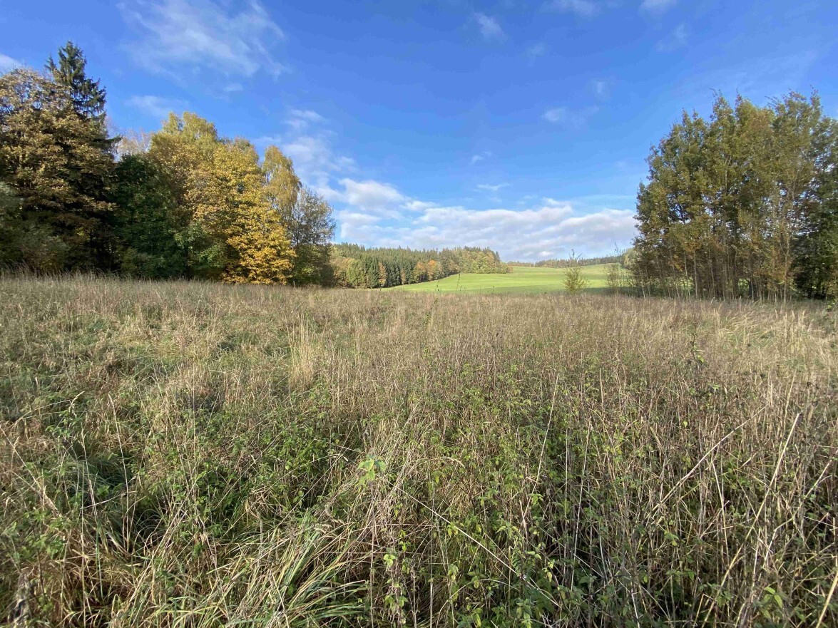 Stavební pozemek o velikosti 3207m2, Horní Lipka