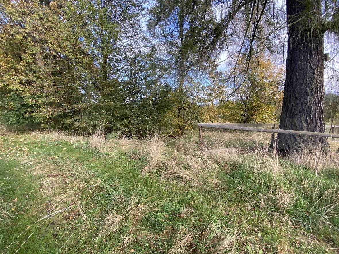 Stavební pozemek o velikosti 3207m2, Horní Lipka