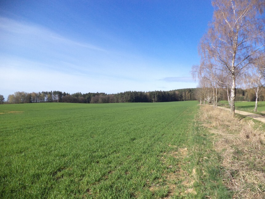 Pozemek o velikosti 17482m2, Okrouhlá Radouň