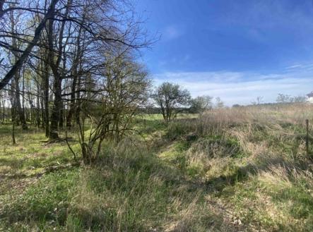 Prodej pozemku, trvalý travní porost, 2 086 m²