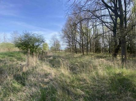 Prodej pozemku, trvalý travní porost, 2 086 m²