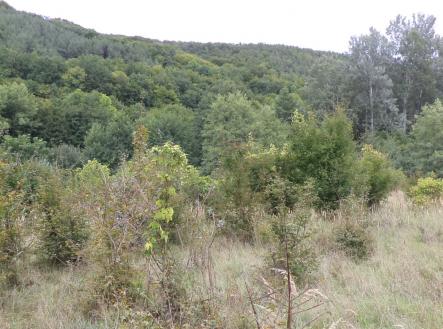 Prodej pozemku, trvalý travní porost, 1 953 m²