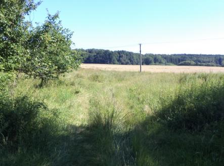 Prodej pozemku, trvalý travní porost, 855 m²