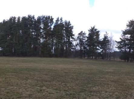 Prodej pozemku, trvalý travní porost, 552 m²