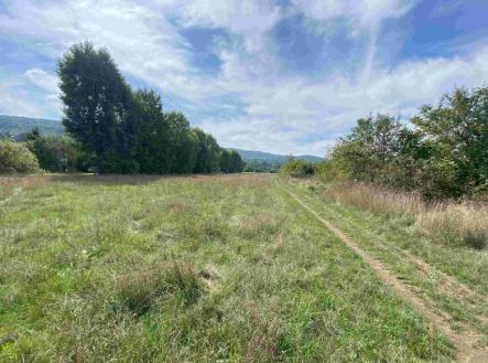 Prodej pozemku, trvalý travní porost, 601 m²