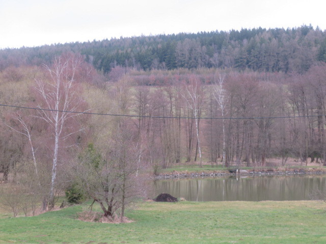 Pozemek o velikosti 8991m2, Ješetice, podíl 1/36