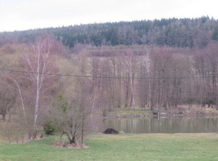 Prodej pozemku, les, 8 991 m²
