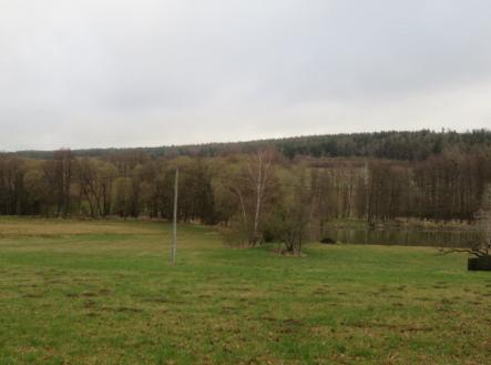 Prodej pozemku, les, 8 991 m²