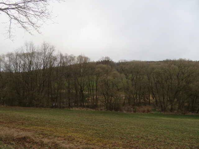 Pozemek o velikosti 7154m2, Ješetice, podíl 1/12