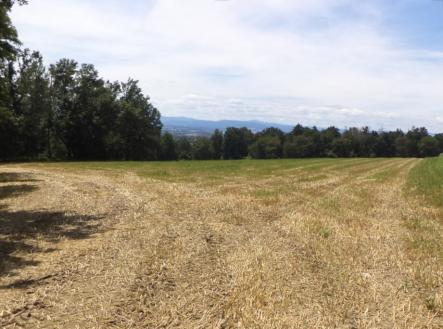 Prodej pozemku, trvalý travní porost, 7 234 m²