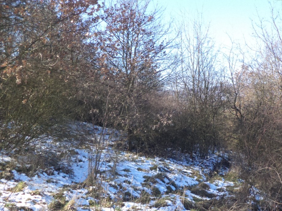 Pozemek o velikosti 18942m2, Všebořice
