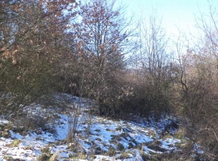 Prodej pozemku, trvalý travní porost, 18 942 m²