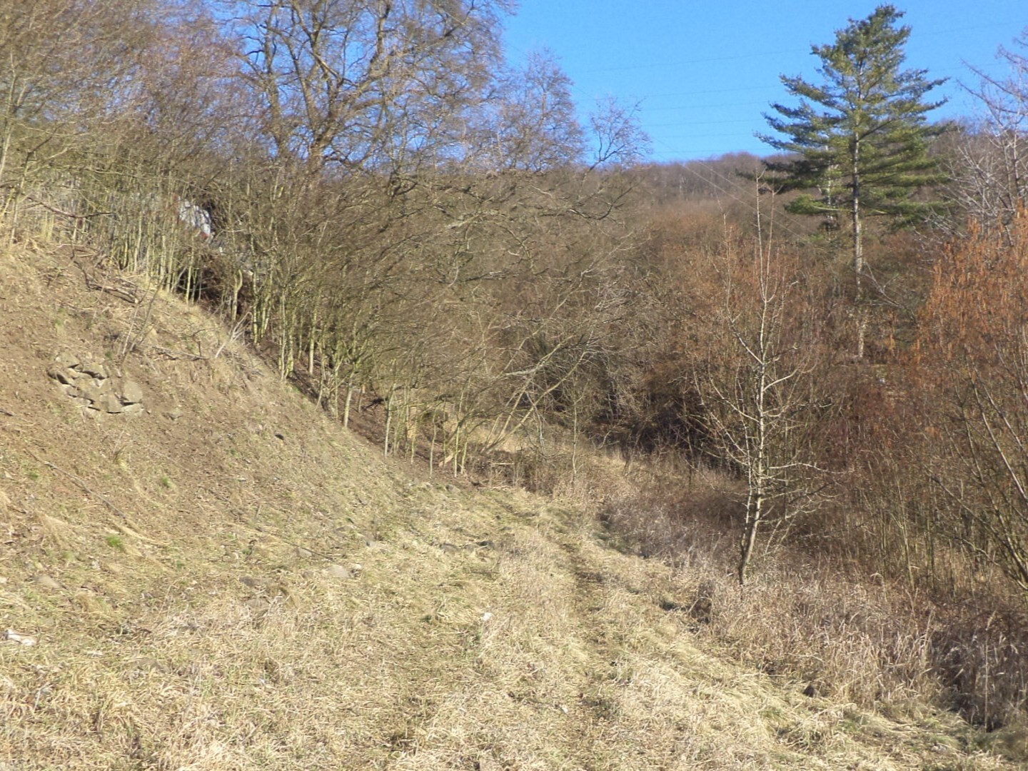 Pozemek o velikosti 640m2, Trmice