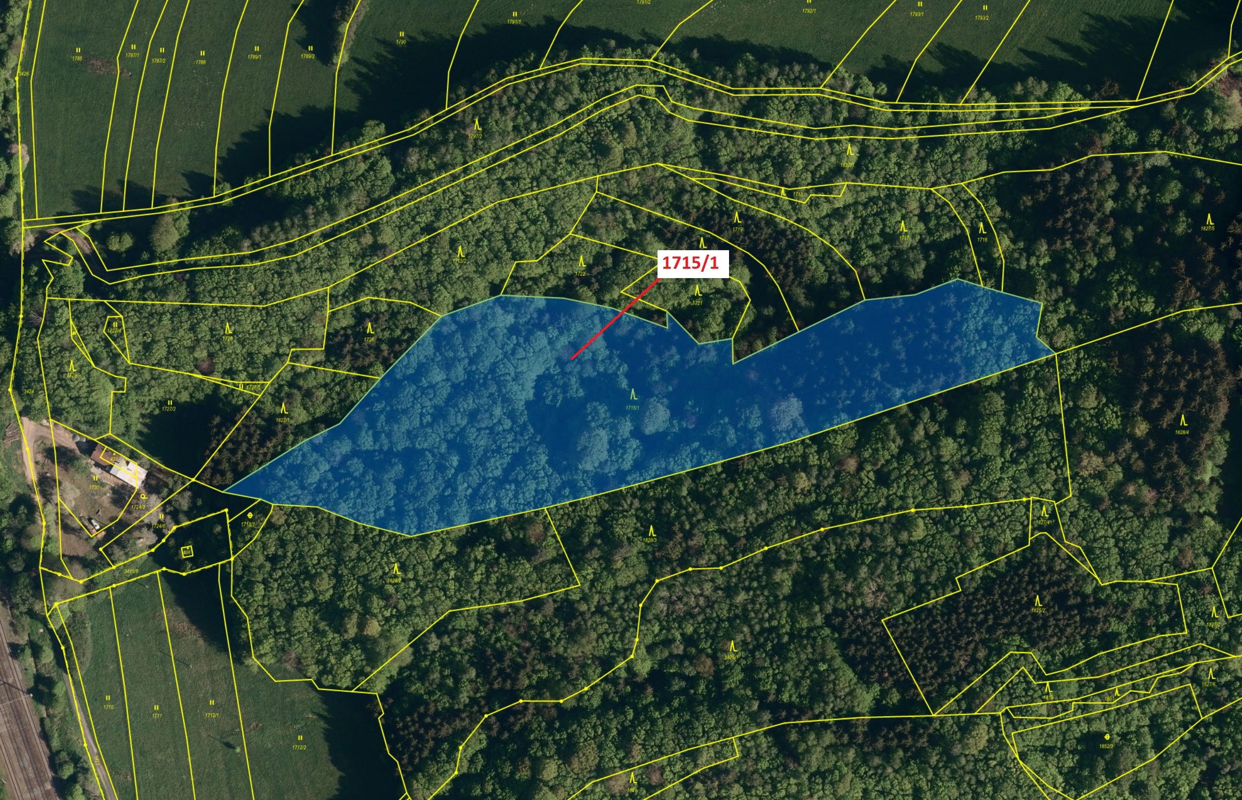 Lesní pozemek o výměře 17 552 m2, podíl 1/1, katastrální území Valašská Polanka, obec Valašská Polan