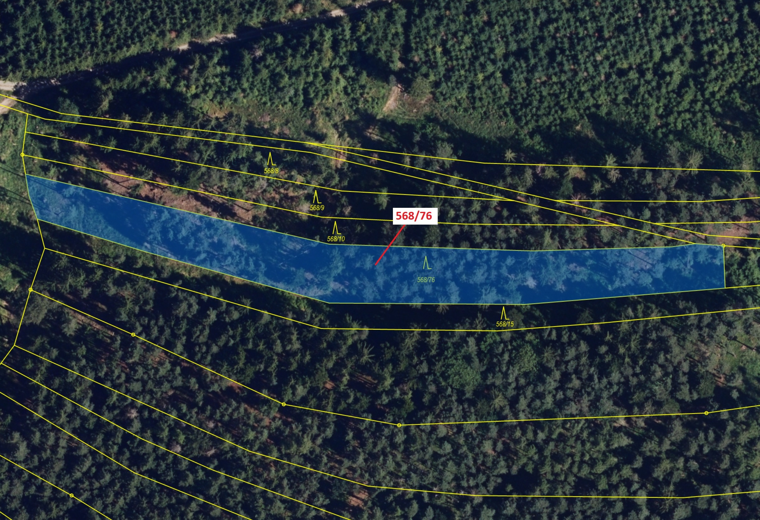 Lesní pozemek o výměře 3720 m2, podíl 1/1, katastrální území Loučka u Bílska, obec Loučka, obec s ro