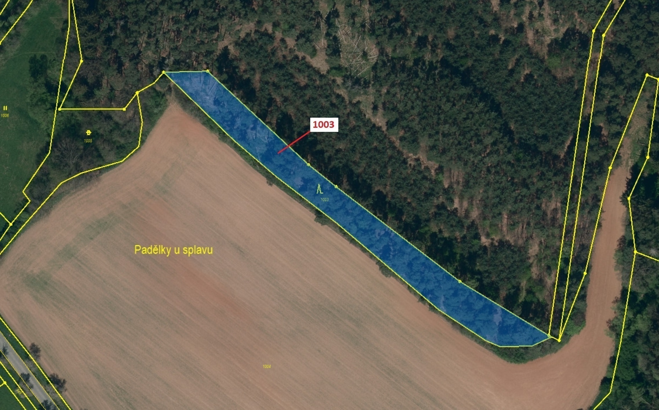 Lesní pozemek o výměře 3001 m2, podíl 1/1, katastrální území Jedov, obec Náměšť nad Oslavou, obec s 