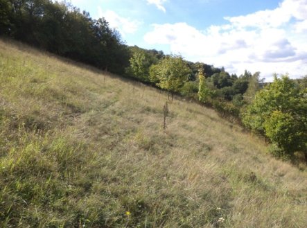 Pozemek o velikosti 806m2,  Stadice