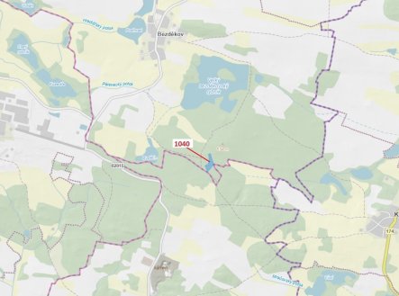 Lesní pozemek o výměře 6 519 m2, podíl 1/1, katastrální území Bezděkov u Kasejovic, obec Hradiště, o
