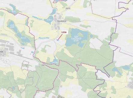Lesní pozemek o výměře 1 284 m2, podíl 1/1, katastrální území Bezděkov u Kasejovic, obec Hradiště, o