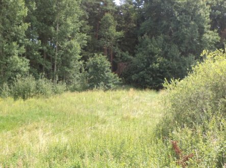 Pozemek o velikosti 2441m2, Nahý Újezdec