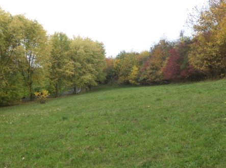 Nemovitost