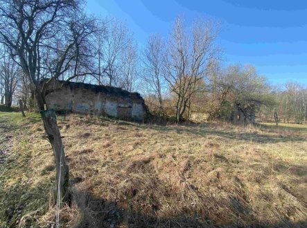 Stavební pozemek o velikosti 11107m2, Všeměřice