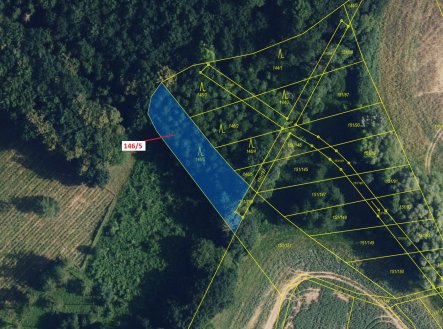 Lesní pozemek o výměře 1071 m2, podíl 1/1, katastrální území Vinary u Přerova, obec Přerov, obec s r